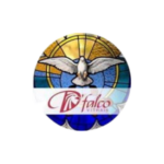 Design sem nome (51)